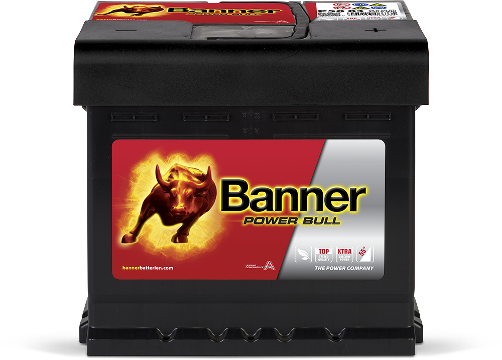 Banner Power Bull, 12V 50Ah, P5003